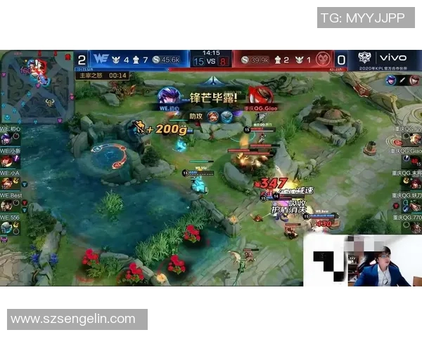 王者荣耀热议WE耐力争议背后的战术思考与职业道德探讨